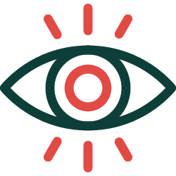 Our Vision